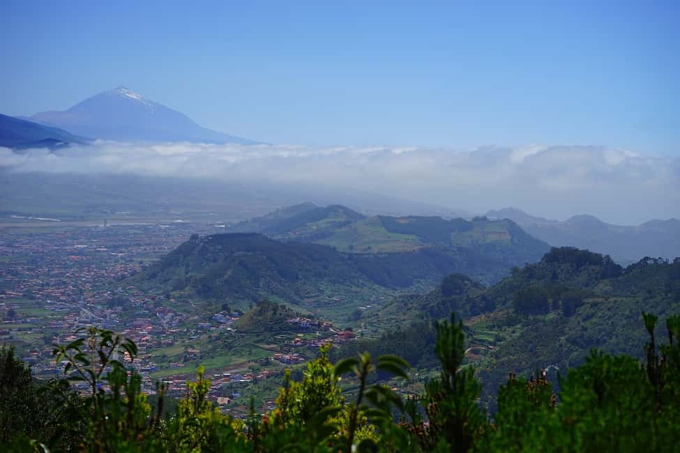 image n.2 of From Puerto de La Cruz: VIP Tour Around Anaga and La Laguna activity in Arona, Tenerife, uploaded by supplier