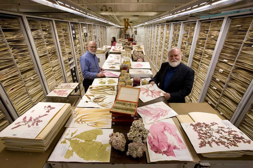 image n.7 of Smithsonian Natural History + Museum of American History 8pp activity in Washington, DC, uploaded by supplier