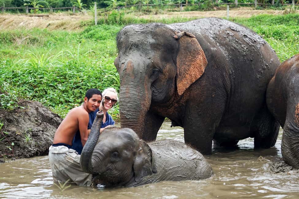 image n.9 of Chiang Mai: Small Group Ethical Elephant Sanctuary Tour activity in Chiang Mai, uploaded by supplier