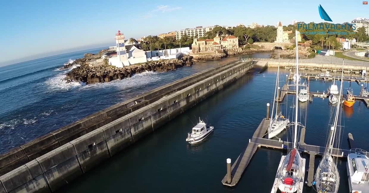 image n.7 of Cascais Deep-Sea Fishing Trip activity in Cascais, uploaded by supplier