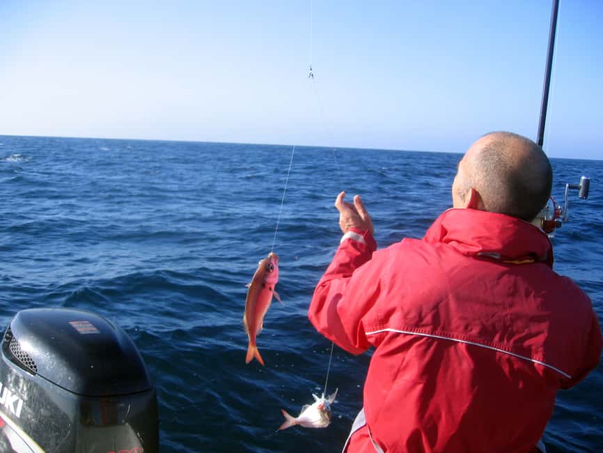 image n.9 of Cascais Deep-Sea Fishing Trip activity in Cascais, uploaded by supplier