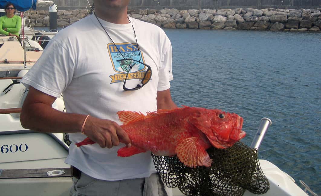image n.5 of Cascais Deep-Sea Fishing Trip activity in Cascais, uploaded by supplier