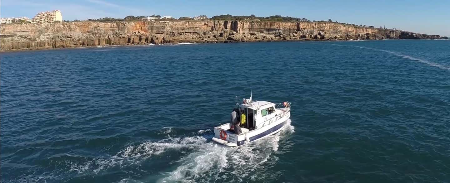 image n.8 of Cascais Deep-Sea Fishing Trip activity in Cascais, uploaded by supplier