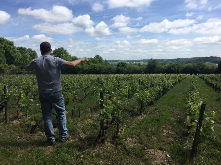 image n.2 of Private Day Tour to Loire Valley Castles & Wines from Paris activity in Chambord, uploaded by supplier