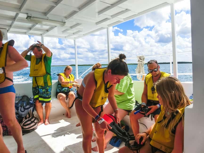 Kemer içindeki Antalya/Kemer: 2 Dalış ve Öğle Yemeği Dahil Scuba Dalış Deneyimi etkinliğinin tedarikçi tarafından yüklenen 9 no'lu görseli