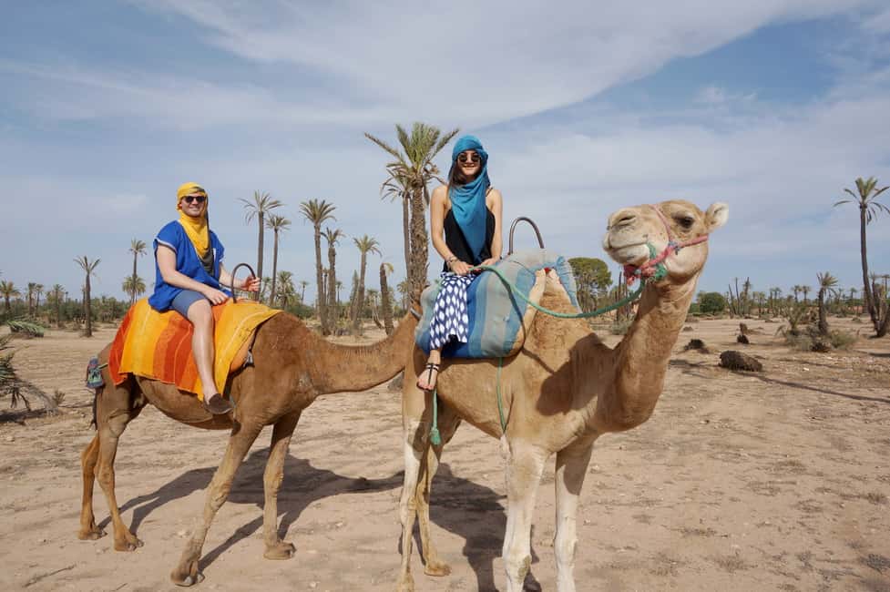imagen n.º 3 de Marrakech: Medio día de paseo en camello por el Palmeral actividad en Marrakech, subida por el proveedor