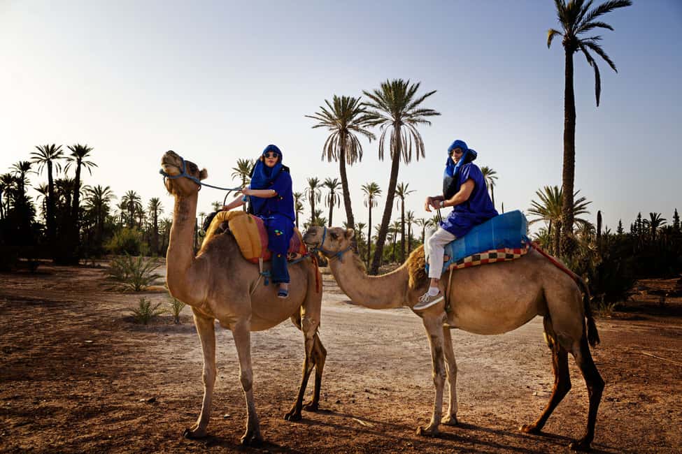 imagen n.º 1 de Marrakech: Medio día de paseo en camello por el Palmeral actividad en Marrakech, subida por el proveedor