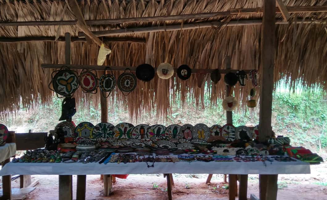 image n.14 of Panama City: Waterfall and Embera Village Tour with lunch activity in Colón Province, uploaded by supplier