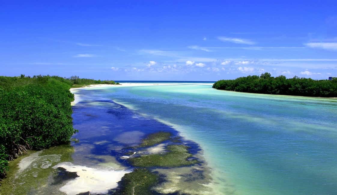 image n.3 of Sian Ka’an Biosphere Reserve Full-Day Discovery Tour activity in Quintana Roo, uploaded by supplier