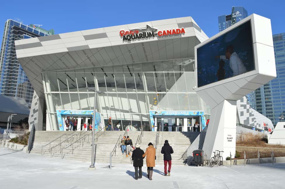 imagen n.º 3 de Toronto Ripley's Aquarium of Canada Ticket de entrada actividad en Toronto, subida por el proveedor