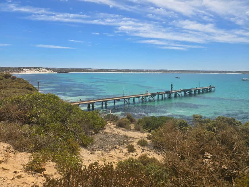 imagen n.º 10 de Desde Adelaida: Kangaroo Island Tour en grupo reducido de 2 días actividad en Australia Meridional, subida por el proveedor