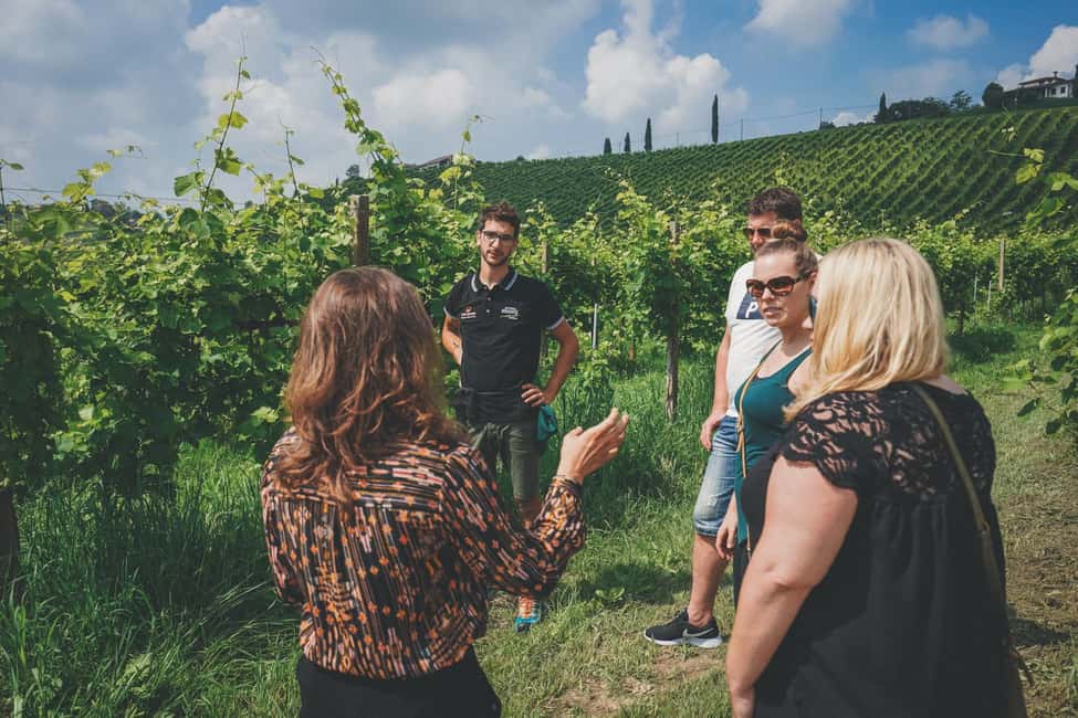 image n.23 of From Venice: Prosecco Wine Region Tour with 2 Tastings activity in Venice, uploaded by supplier