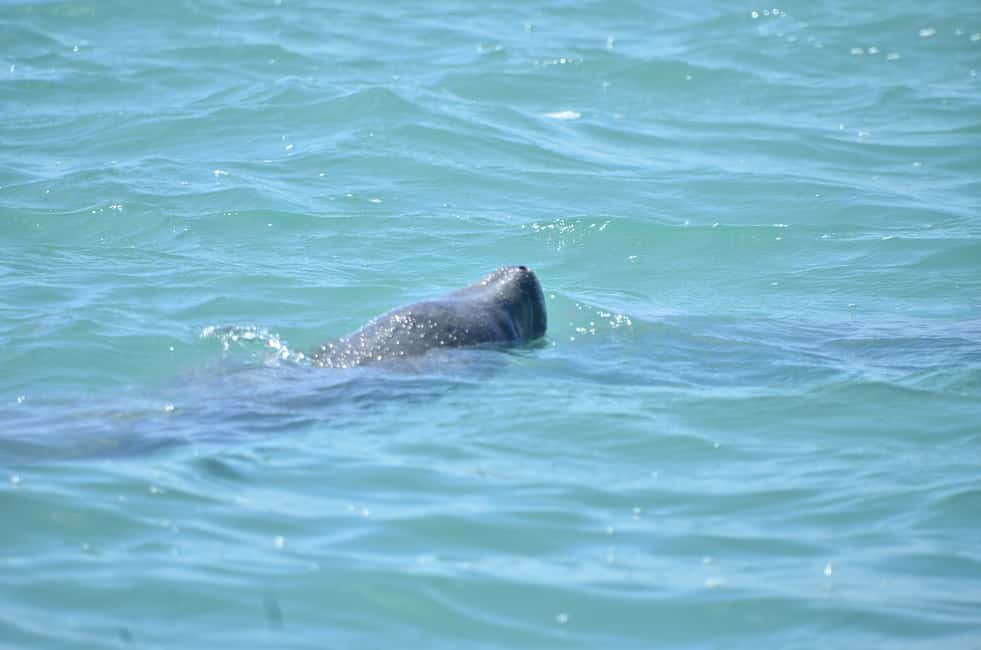 image n.9 of Sian Ka’an Biosphere Reserve Full-Day Discovery Tour activity in Quintana Roo, uploaded by supplier