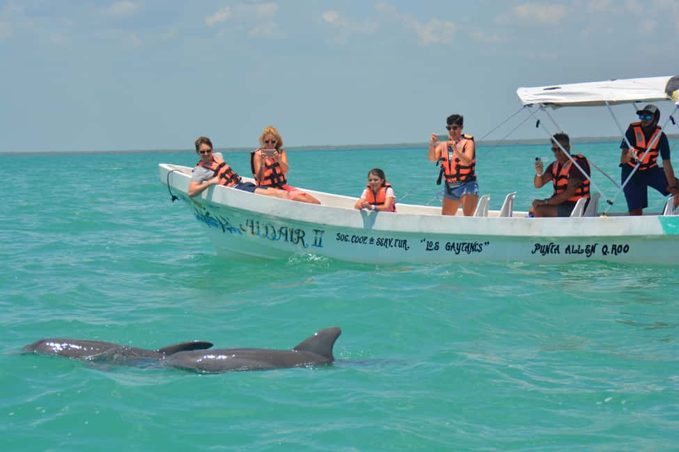 image n.7 of Sian Ka’an Biosphere Reserve Full-Day Discovery Tour activity in Quintana Roo, uploaded by supplier
