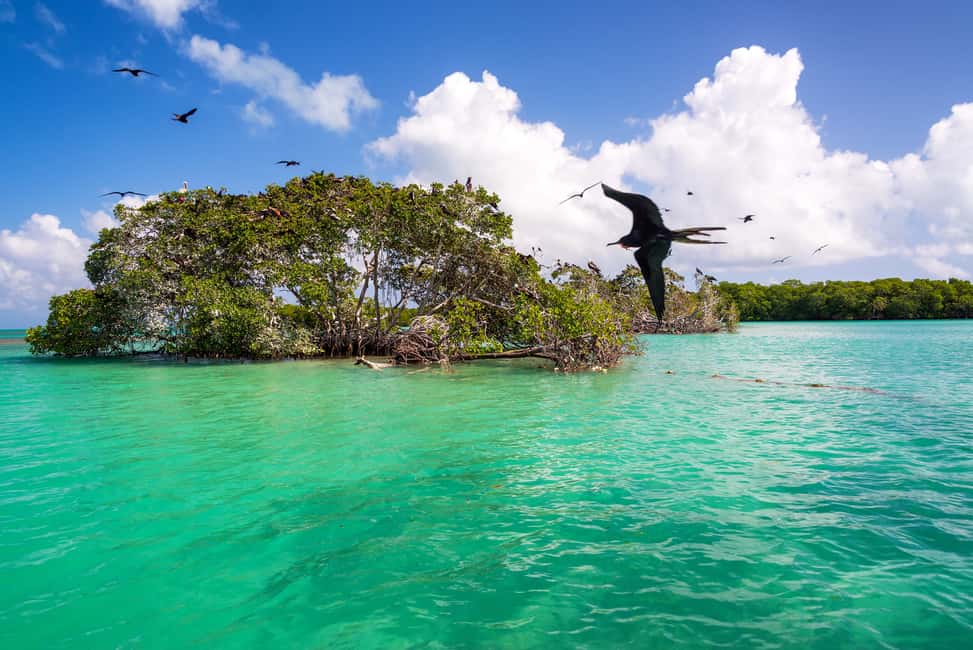 image n.2 of Sian Ka’an Biosphere Reserve Full-Day Discovery Tour activity in Quintana Roo, uploaded by supplier