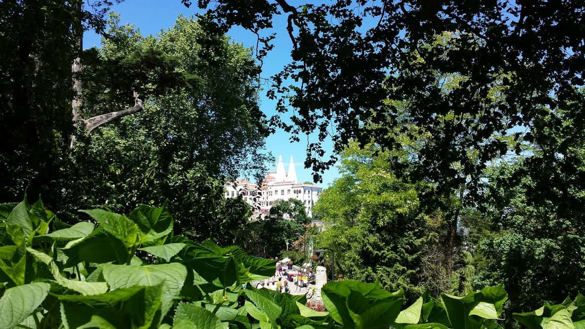 image n.10 of Sintra: Full-Day Tour from Lisbon with Wine Tasting activity in Sintra, uploaded by supplier