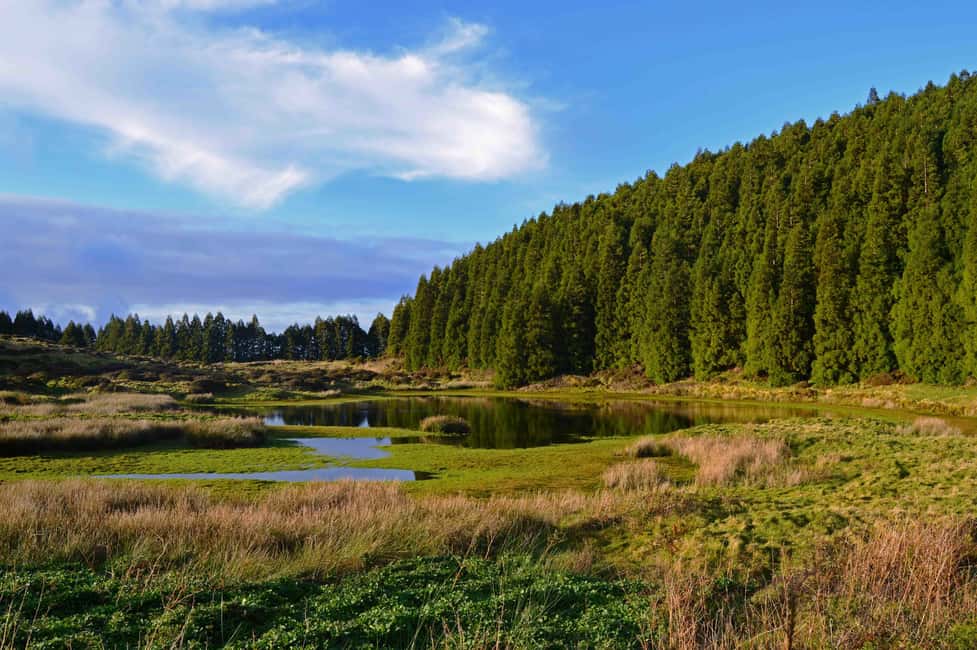 Bild Nr. 1 von Insel Terceira: Mistérios Negros Wandern Aktivität in Azoren, hochgeladen vom Anbieter