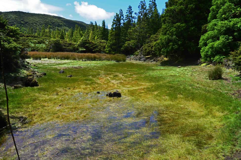 Bild Nr. 3 von Insel Terceira: Mistérios Negros Wandern Aktivität in Azoren, hochgeladen vom Anbieter