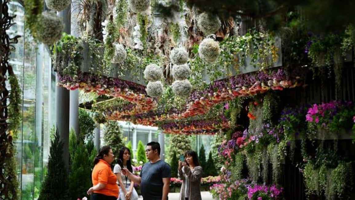 imagen n.º 32 de Singapur: Tour privado personalizado de 3-4-6-8 horas por Singapur actividad en Singapur, subida por el proveedor