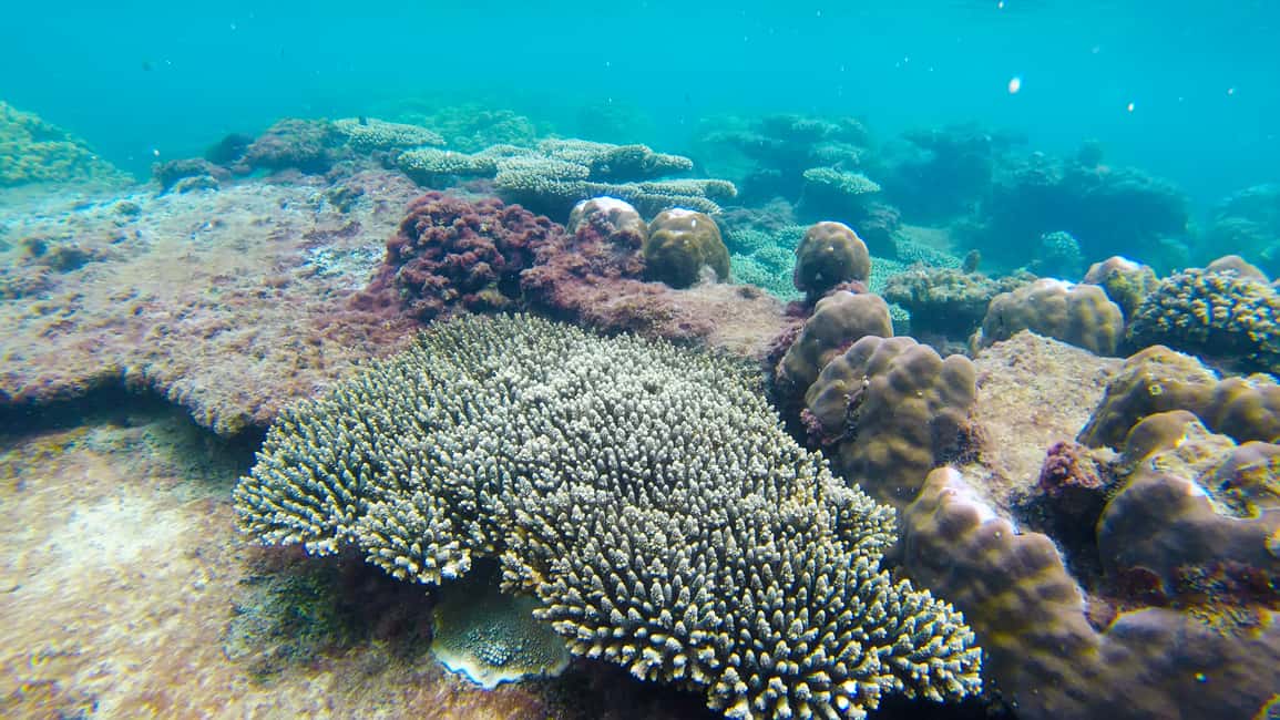 image n.7 of Phu Quoc: 3 Island Tour by Boat with Guide activity in Kien Giang province, uploaded by supplier
