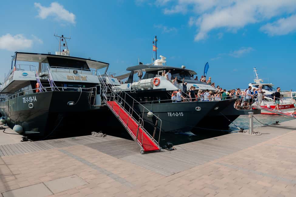 Image N°13 de Ibiza : Transfert aller-retour de Figueretas à Formentera activité à Ibiza (ville), publiée par le prestataire
