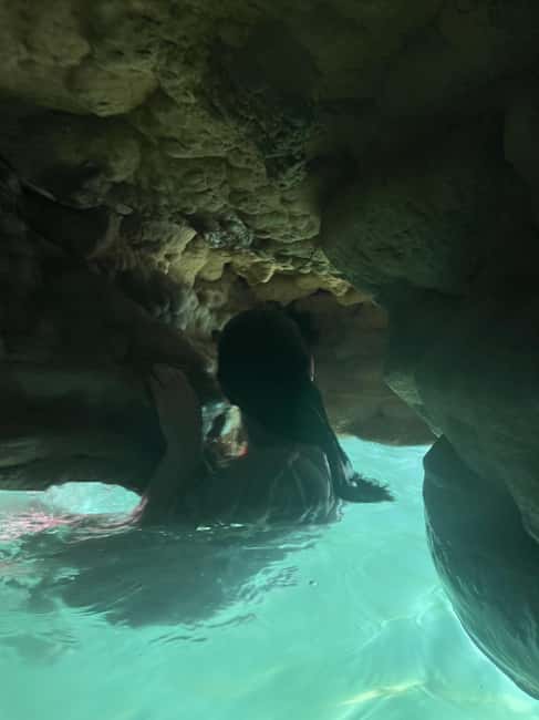 Immagine nº 40 di Muscat: escursione di un'intera giornata a Wadi Shab, grotta romantica e sinkhole attività a Regione al-Sharqiyya, caricata dal fornitore