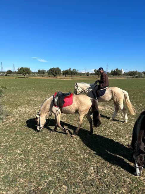 Image N°11 de Sousse/Monastir : excursion privée à cheval avec transfert activité à Monastir, publiée par le prestataire