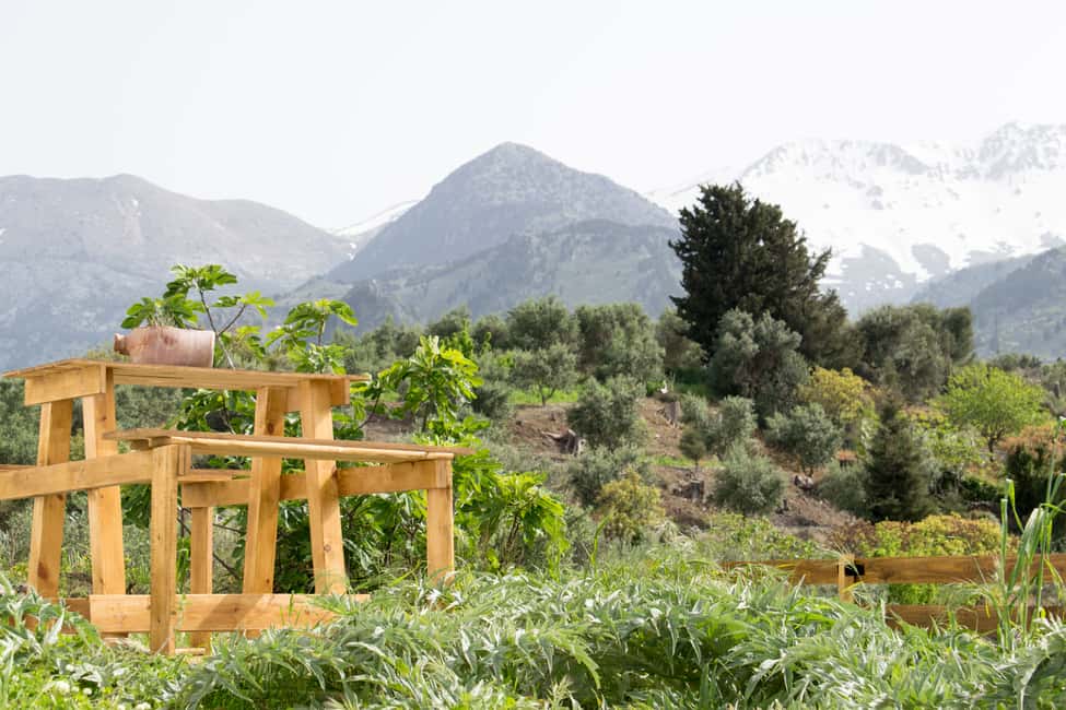 image n.13 of Chania: Authentic Cooking Class in the White Mountains activity in Chania, uploaded by supplier