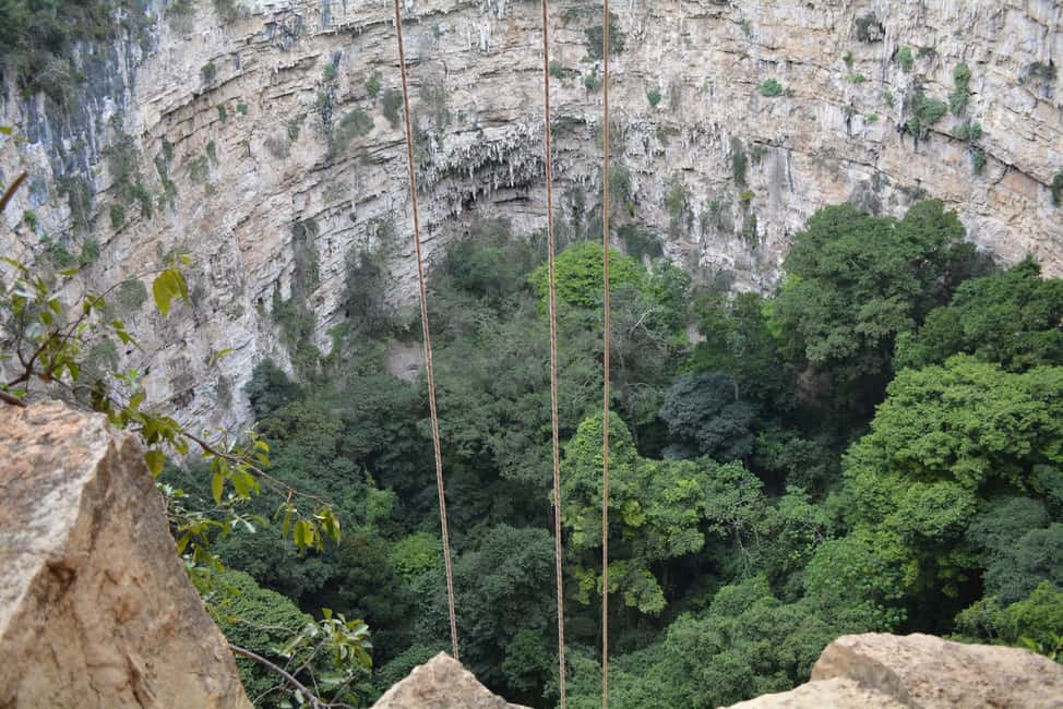 Image N°8 de Tuxtla Gutiérrez : Descente en rappel d'une journée dans le gouffre des perroquets activité à Chiapas, publiée par le prestataire