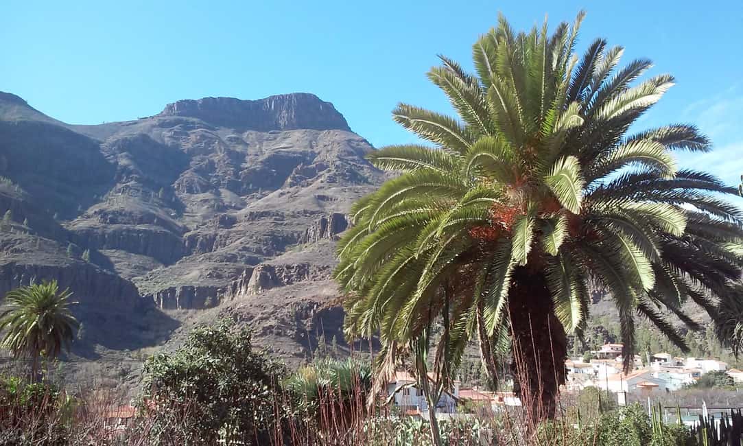 Image N°1 de Las Palmas : 8 heures d'excursion sur l'île de Gran Canaria activité à Vega de San Mateo, publiée par le prestataire