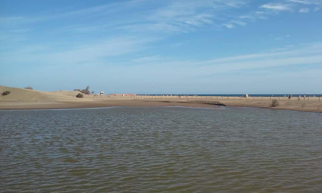 Image N°8 de Las Palmas : 8 heures d'excursion sur l'île de Gran Canaria activité à Vega de San Mateo, publiée par le prestataire