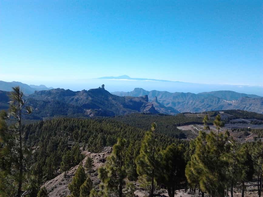 Image N°5 de Las Palmas : 8 heures d'excursion sur l'île de Gran Canaria activité à Vega de San Mateo, publiée par le prestataire