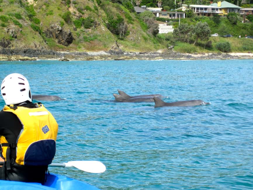 bild nr.2 av Byron Bay: Byron Bay-turen med havskajak aktivitet i Byron Bay, uppladdad av arrangören