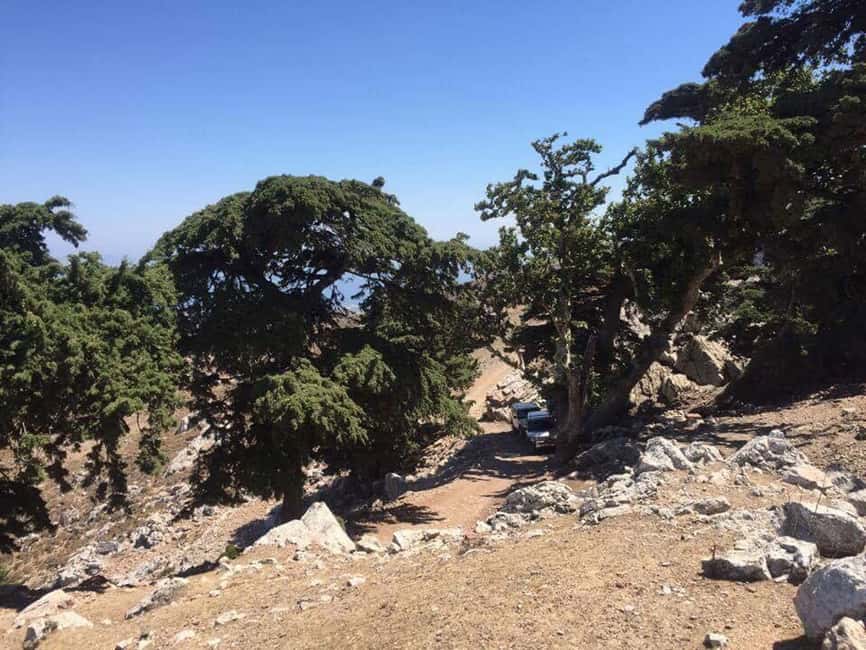 image n.2 of Kos: Full-Day Jeep Safari with Lunch activity in Dodecanese, uploaded by supplier