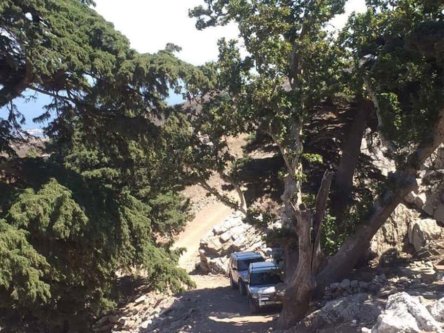 image n.4 of Kos: Full-Day Jeep Safari with Lunch activity in Dodecanese, uploaded by supplier