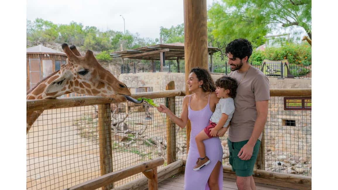 image n.7 of San Antonio: San Antonio Zoo Any Day Ticket activity in San Antonio, uploaded by supplier