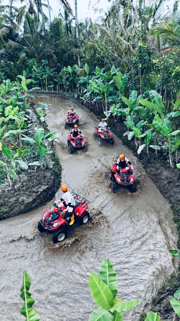 Obraz nr 11 z atrakcji Ubud: Wycieczka z przewodnikiem po quadach ATV w Ubud, przesłany przez organizatora