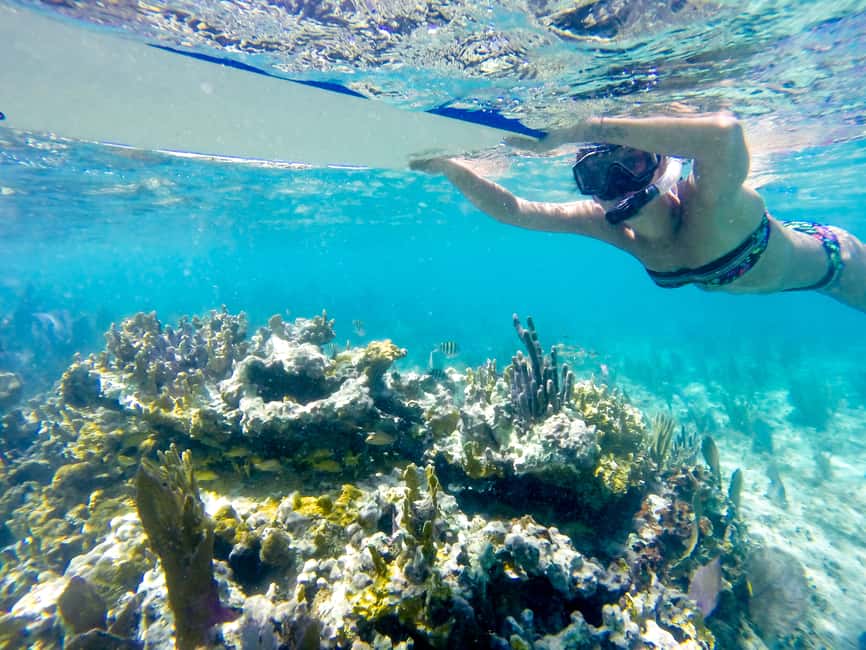 image n.4 of Cozumel: West Coast E-Bike and Snorkeling Tour activity in Quintana Roo, uploaded by supplier