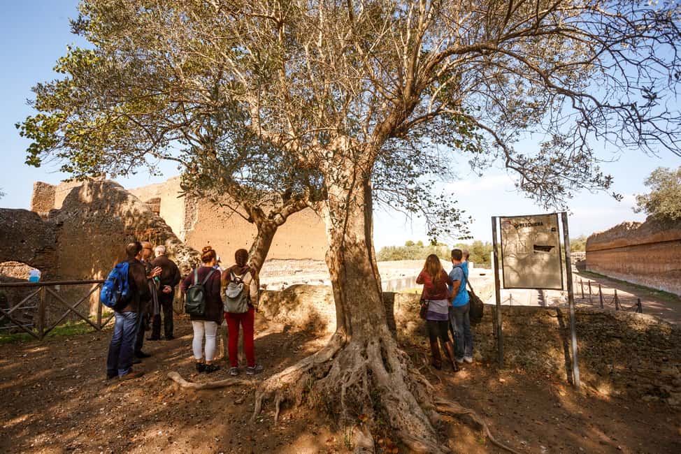 Immagine nº 8 di Tivoli: biglietto d'ingresso alla Villa Adriana e audioguida attività a Tivoli, Lazio, caricata dal fornitore