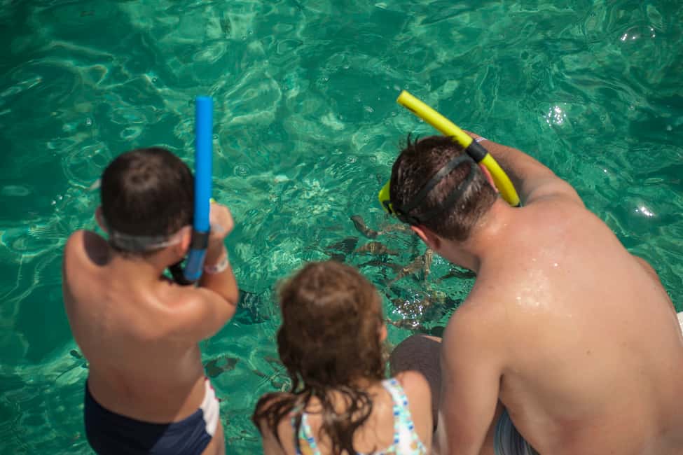 image n.8 of Maracajau Parrachos Reef: Mask and Snorkel swim adventure activity in Natal, uploaded by supplier