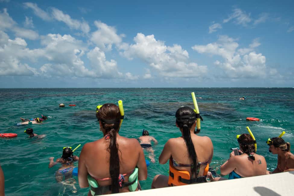 image n.13 of Maracajau Parrachos Reef: Mask and Snorkel swim adventure activity in Natal, uploaded by supplier