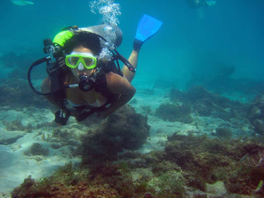 image n.14 of Maracajau Parrachos Reef: Mask and Snorkel swim adventure activity in Natal, uploaded by supplier