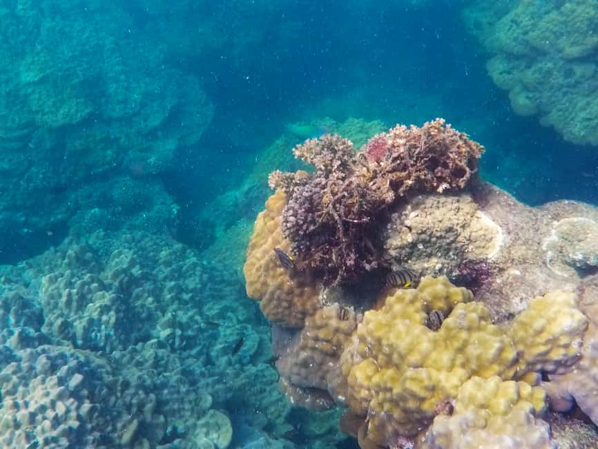 image n.5 of Phu Quoc Speedboat Trip: 3 Islands By Speedboat activity in Vietnam, uploaded by supplier