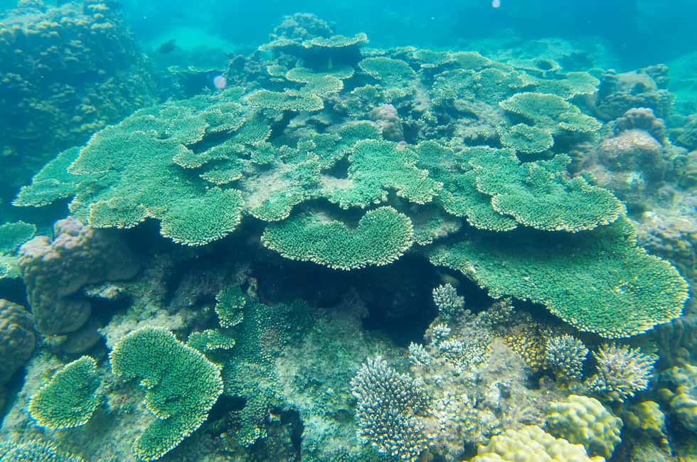 image n.7 of Phu Quoc Speedboat Trip: 3 Islands By Speedboat activity in Vietnam, uploaded by supplier