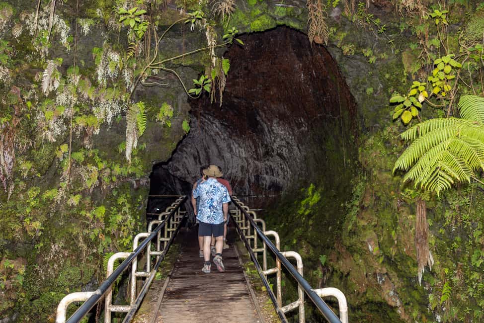 Immagine nº 14 di Hawaii: tour privato all-inclusive dei vulcani e delle cascate attività a Hilo, caricata dal fornitore