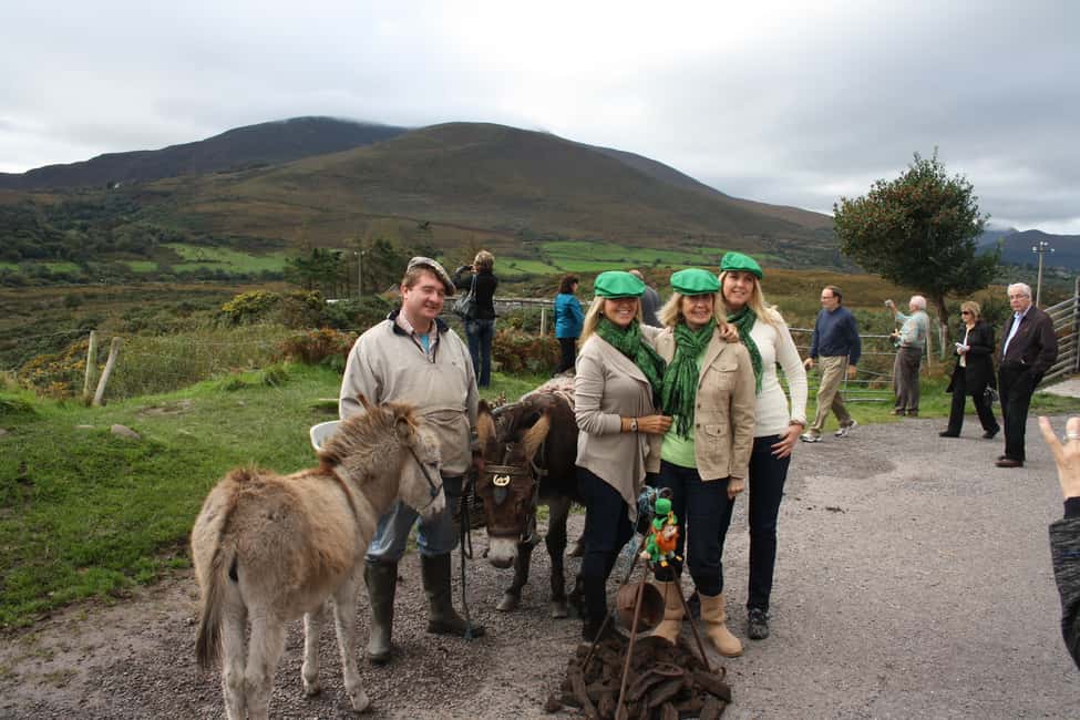 imagem n.3 de Killarney: Excursão de autocarro pelo Anel de Kerry atividade em Munster, carregada pelo fornecedor