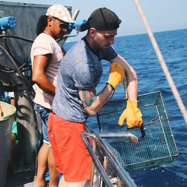 image n.8 of Santorini Sunset Fishing Trip with Dinner and Drinks activity in Cyclades, uploaded by supplier