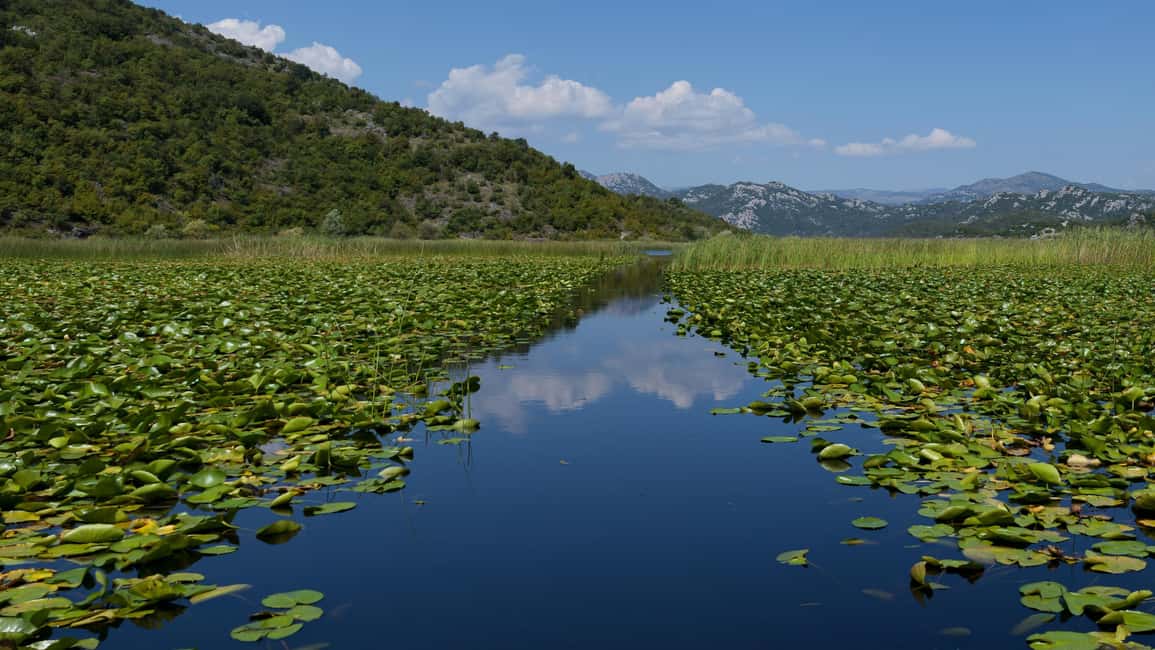 Bild Nr. 16 von Kotor: Tagestour und Bootsfahrt zum Skadar-See und Biograd Aktivität in Gusinje, hochgeladen vom Anbieter