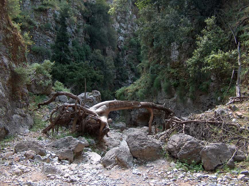 image n.8 of From Rethymno: Imbros Gorge & Libyan Guided Sea Tour activity in Crete, uploaded by supplier