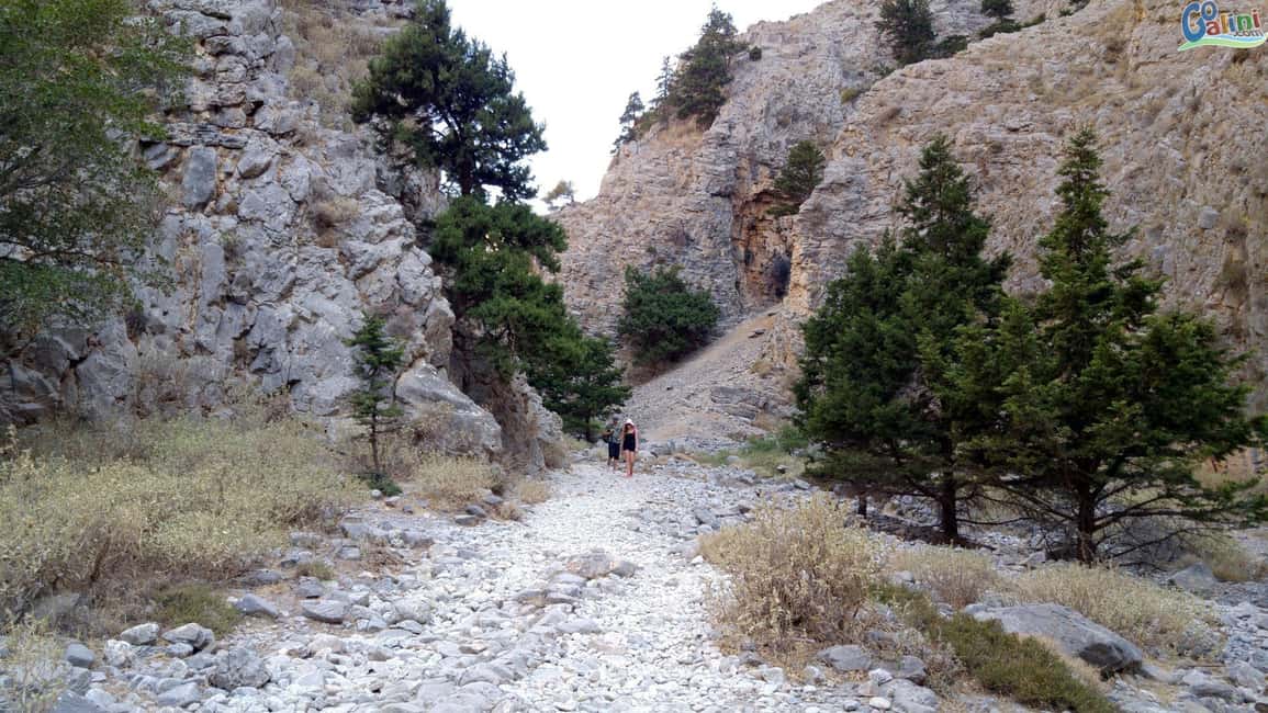 image n.9 of From Rethymno: Imbros Gorge & Libyan Guided Sea Tour activity in Crete, uploaded by supplier